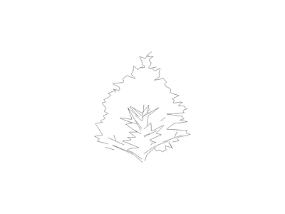 乔木种植 常用植物图例