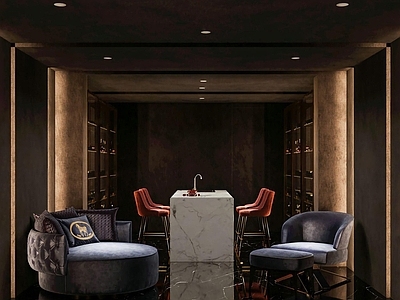 现代品酒室酒窖 休息室