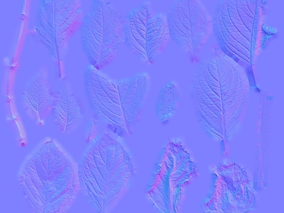其他法线