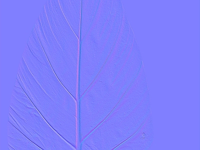 其他法线