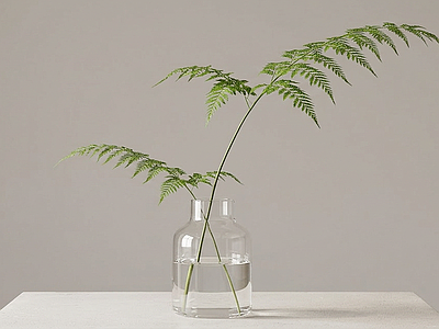 造型绿植草本植物