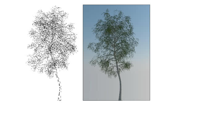 树代理 画 相框 迷雾 其他