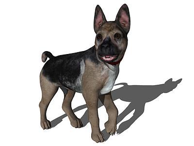 Dog_5p1