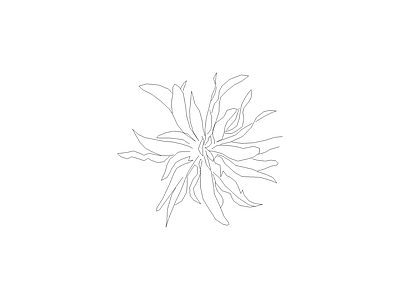 花 茶室茶桌椅茶台