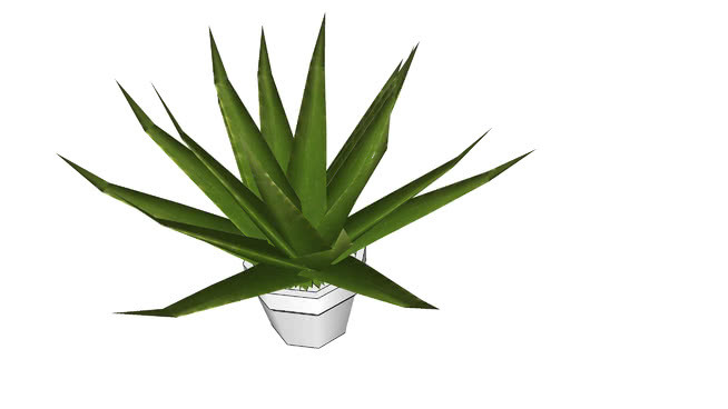 芦荟植物Low Poly 植物 其他 花 菠萝 铅笔