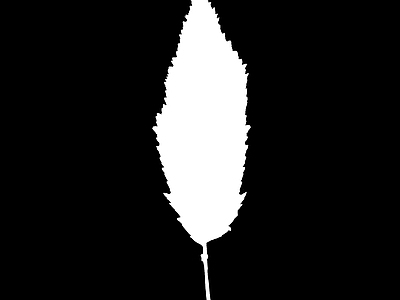 高光