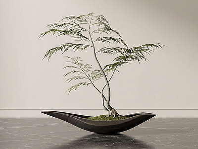 盆栽绿植盆栽