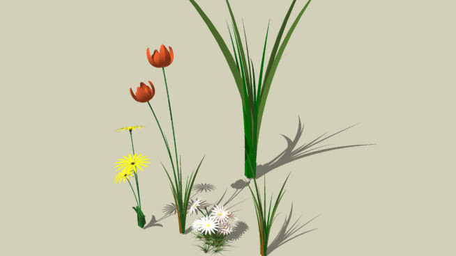 植物 植物 其他 花 野玫瑰果 草地