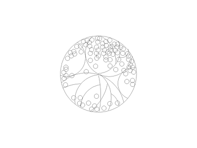 常用植物图例 阴香