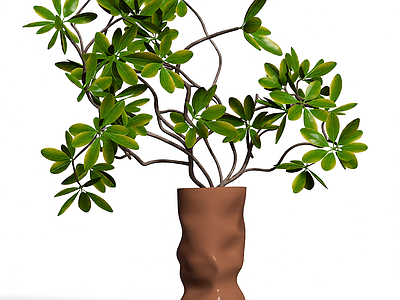 盆栽植物装饰品