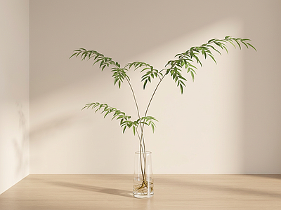造型绿植草本植物
