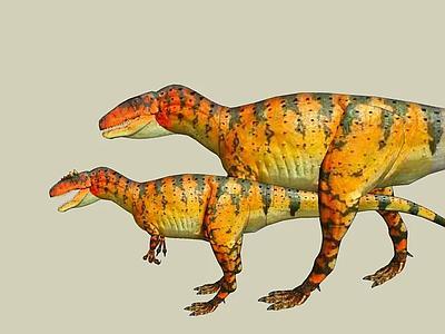 异特龙和Carcharodontosaurus