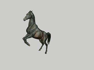 The horse