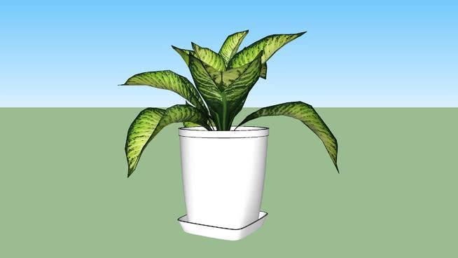 装饰小植物 垃圾箱 瓶子 大口水壶