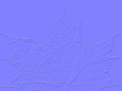 其他法线