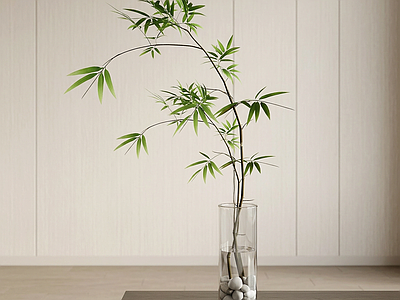 玻璃花瓶绿植竹子