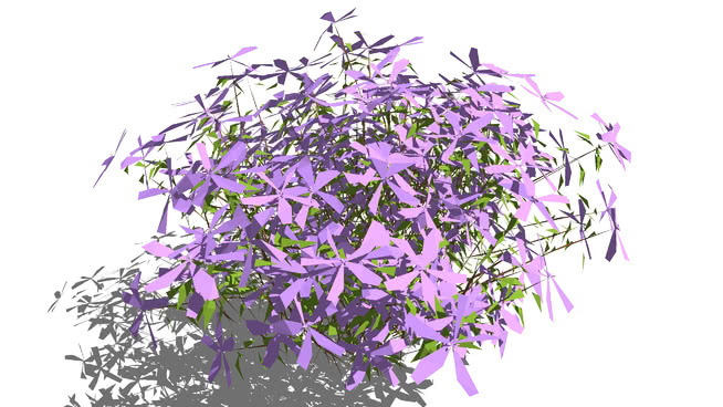 薰衣草 花 其他 植物 蜜蜂 饰品