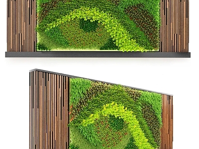 植物墙