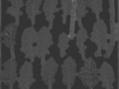 绿植墙