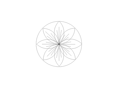 备用植物图例 血桐