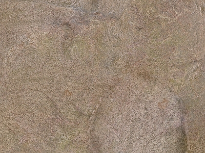 洞石