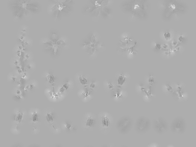 高光