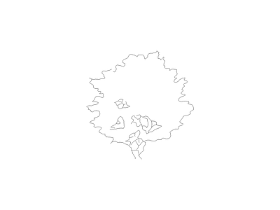 乔木种植 常用植物图例
