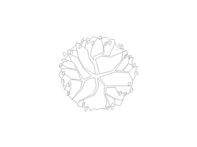 常用植物图例 石榴