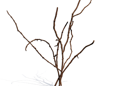 干枯树枝装饰