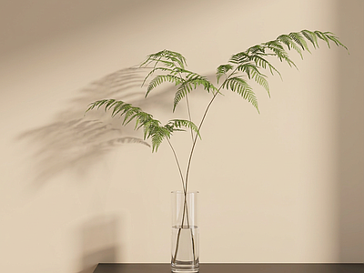 艺术绿植草本植物