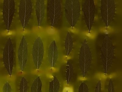 绿植墙