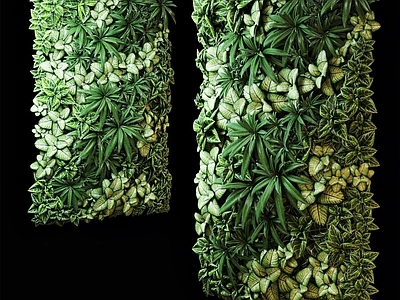 现代植物墙绿植墙墙饰