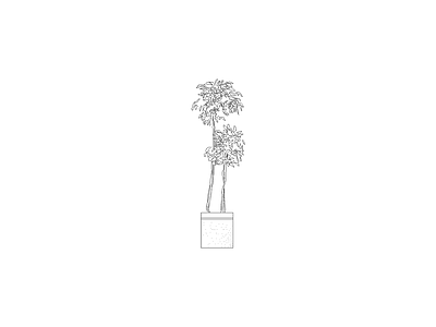 乔木种植 室内绿植摆件立面图块