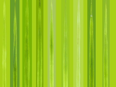 绿植墙