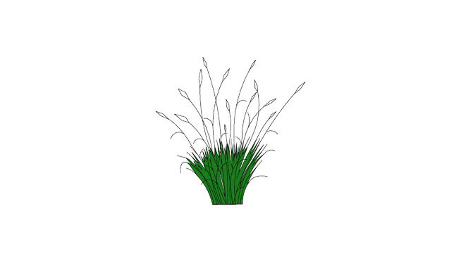 二维喷泉草 画 其他 饰品 草地