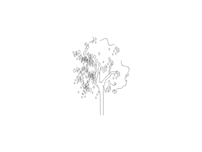 乔木种植 景观树立面图块
