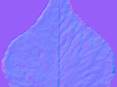 其他法线