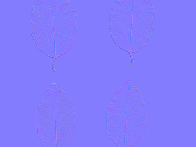 其他法线