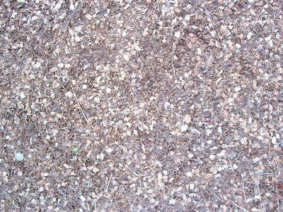 地面-草皮-0017.jpg 自然