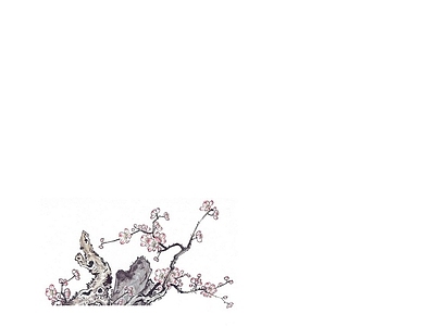 花朵纹理
