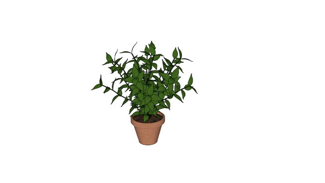 花花盆A 其他 花盆 饰品