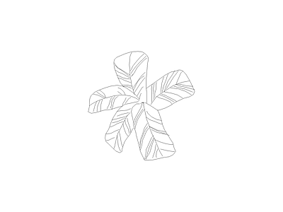 种植物平面图例 芭蕉
