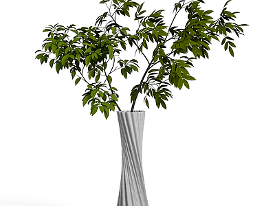 盆栽植物装饰