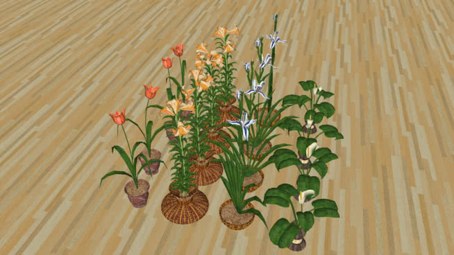 我的3D花园 饰品 其他 蜱虫 发卡