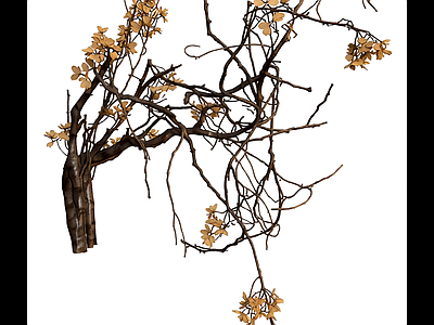 枯树枝带花装饰