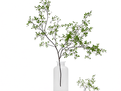 枝叶插花装饰