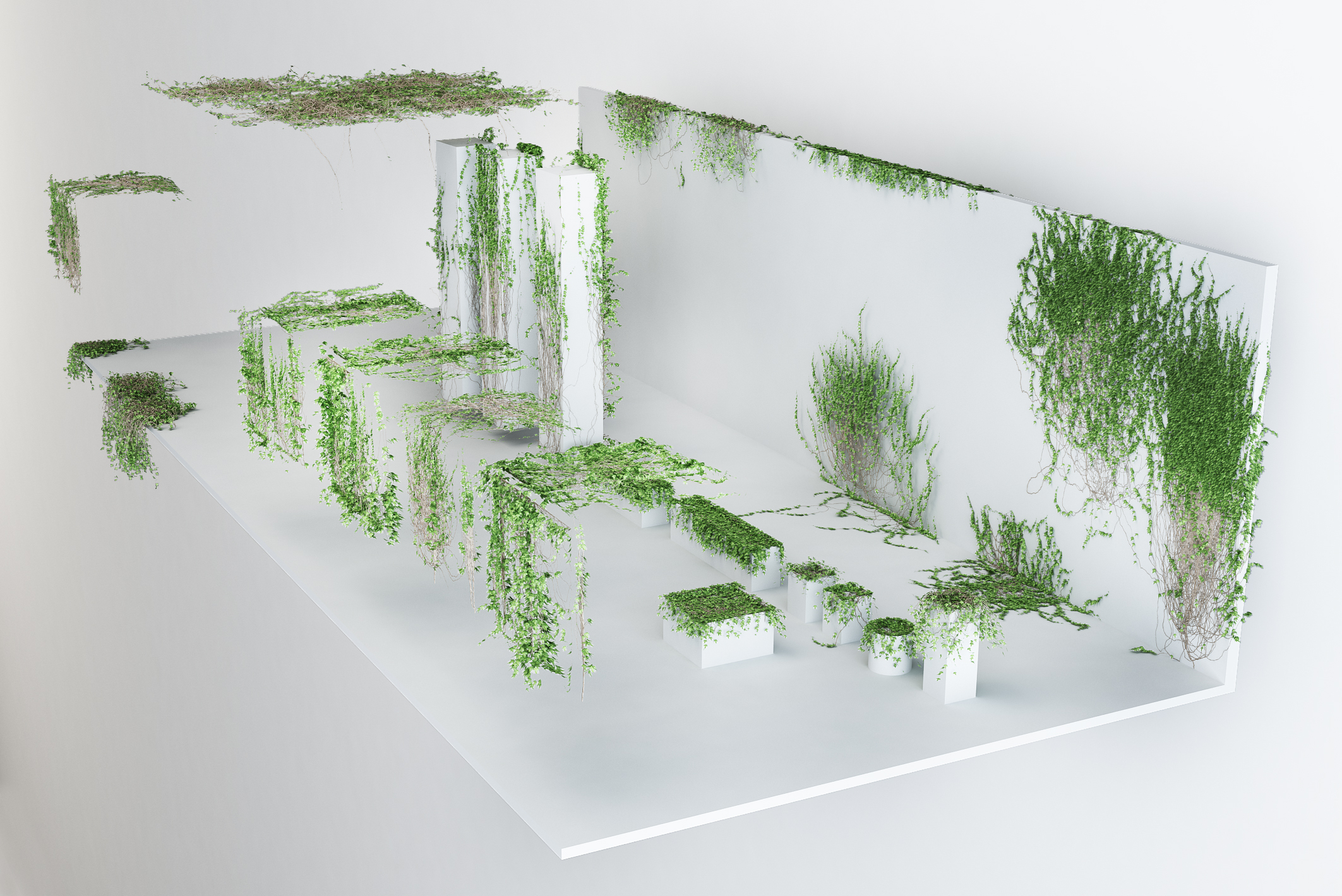 爬墙植物绿植物墙