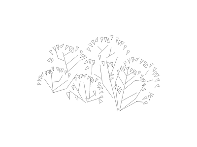乔木种植 常用植物图例