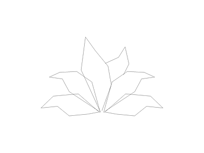 组团植物平立面图 狐尾龙舌兰立
