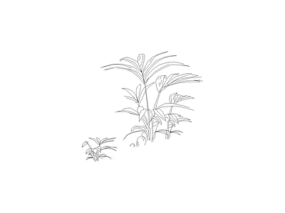 灌木种植 常用植物图例